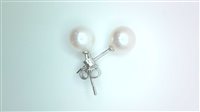 Pendientes Ticchi Maurizio Mujer Perle in Oro blanco Perla OB00112 - OB00112